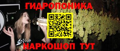 шишки Татарск